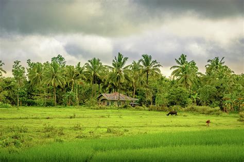 View Of The Countryside In Bohol Philippines With A House And A