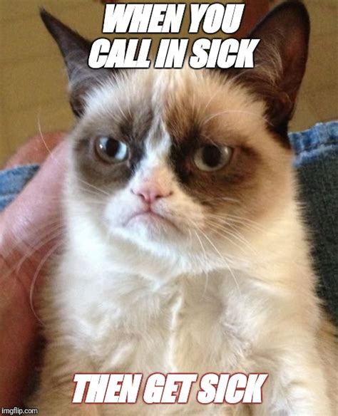 Grumpy Cat Meme Imgflip