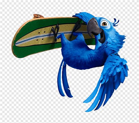 Blu Nigel Linda Bia Rio Blauer Macaw Darsteller Animation Png Pngegg
