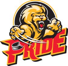 BakersfieldCondors.com | HOLTY’S BLOG: DEFUNCT HOCKEY LOGOS