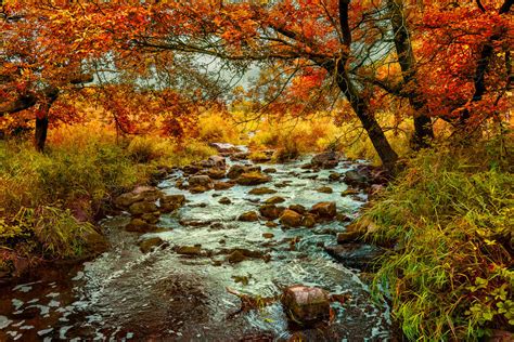Autumn Creek By Dimentichisi On Deviantart