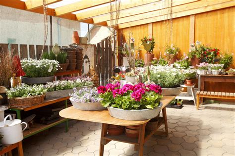 Modern flower shop interior design. Flower Shop Interior stock photo. Image of florist, image ...