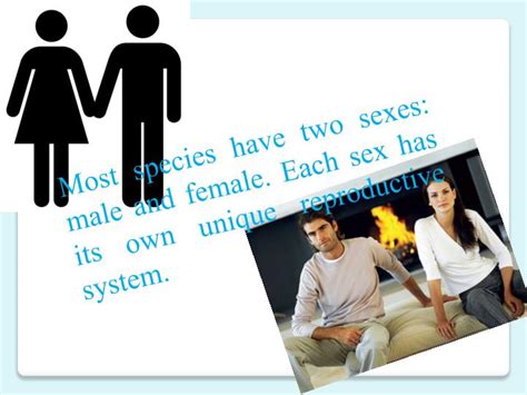 Ppt Most Species Have Two Sexes Male And Female Each Sex Has Its