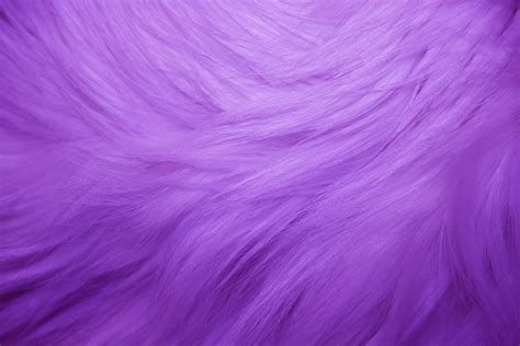Purple Fur Texture Picture Free Photograph Photos Public Domain