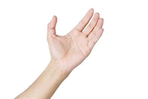 What Is The Average Hand Size Measuringknowhow