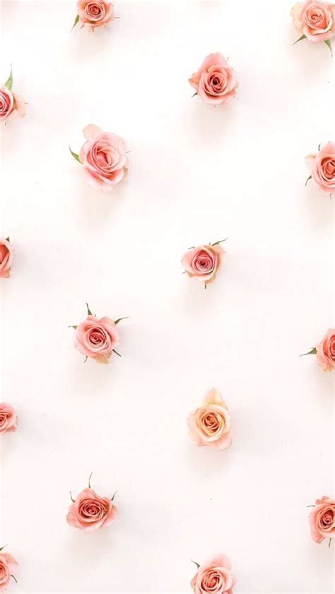Iphone Wallpaper Roses Обои Iphone Wallpapers