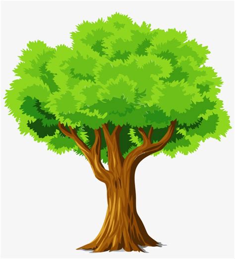 Download Colorful Natural Tree Vector Clipart Tree Clipart