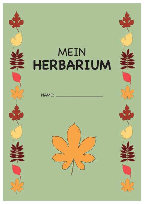 Linienblatt zum ausdrucken din a 4 : Herbarium Deckblatt | Deckblatt schule, Deckblatt ...