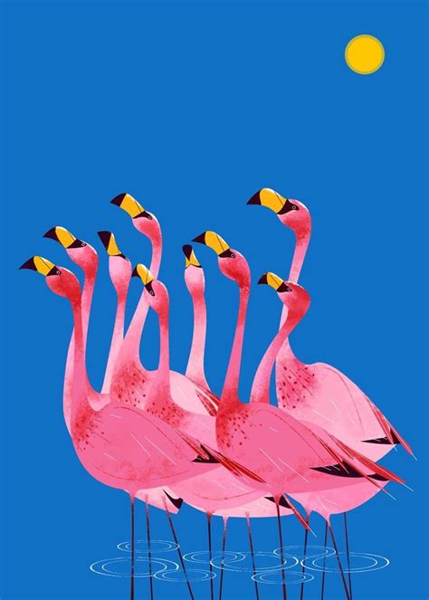Pin By Alicia Allen On Flamingos Flamingo Illustration Flamingo Art