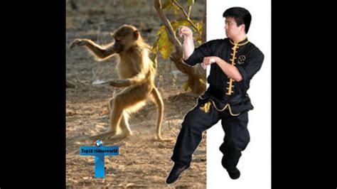 Top 10 Most Lethal Martial Arts In The World Youtube