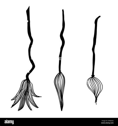 Cartoon Witch Brooms Set Halloween Magic Broom Vector Illustration In