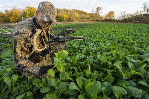 What To Plant In Small Food Plots Food Plot Food Plots For Deer Deer Food