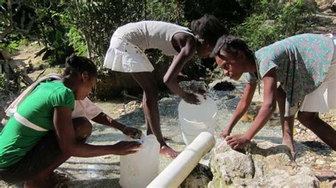 uf faculty take part in decision to send one million doses of cholera vaccine to haiti