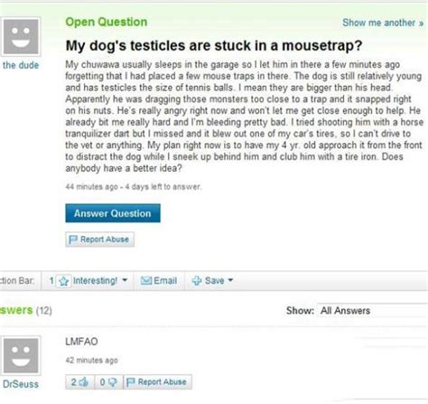 The Funniest Yahoo Questions And Answers Youll Ever Come Across