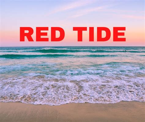 Elevated Red Tide Levels Detected At Sarasota Beaches WENG FM FM AM
