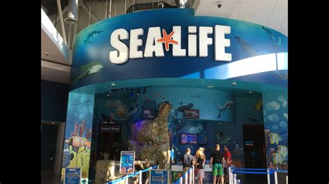 Orlando Sea Life Aquarium 13 May 2016 Youtube