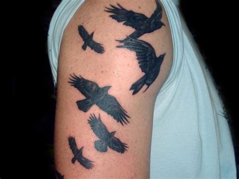 150 Best Crow And Raven Tattoos And Meanings Hd Tattoos Feather