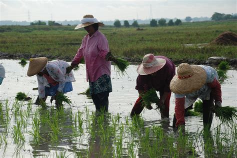 President Duterte Ensures Full Support To Filipino Farmers Official