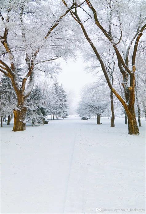 2019 Beautiful Winter View Vinyl Photography Backdrops Printed White
