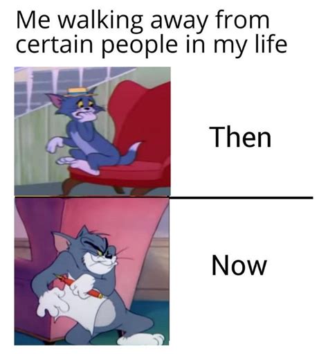 160 Funny Tom And Jerry Memes To Keep You Laughing Fandomspot Images