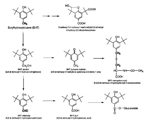 Butylated Hydroxytoluene Bht Biomonitoring Methods Leng