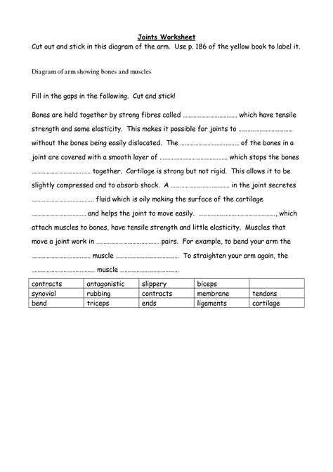 14 Best Images Of Muscle Review Worksheet Label Muscles