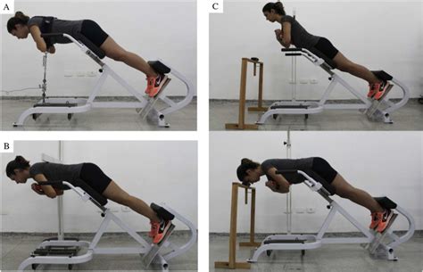 Journal Of Sports Medicine And Physical Fitness Turin ...