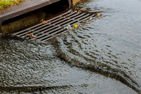 Sewage Pollution Why The Uk Water Industry Is Broken