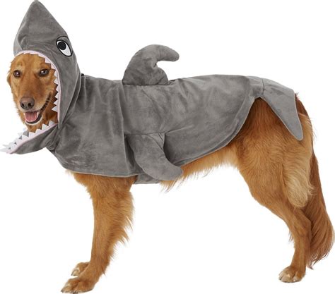81 Of The Best Dog Halloween Costume Ideas For Your Pooch Dog