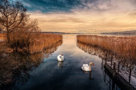 Wallpaper Sunlight Landscape Sunset Sea Lake Nature