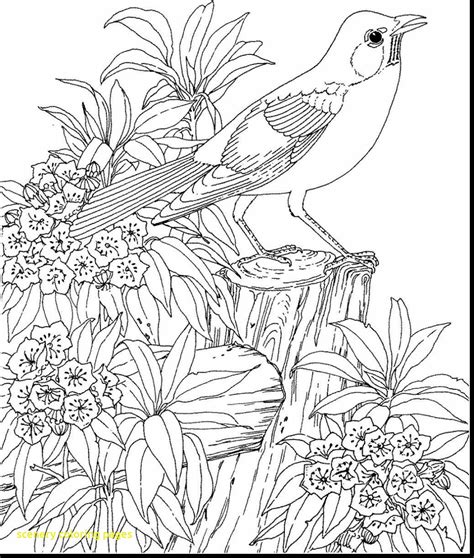 35 Nature Easy Scenery Coloring Pages Images Colorist