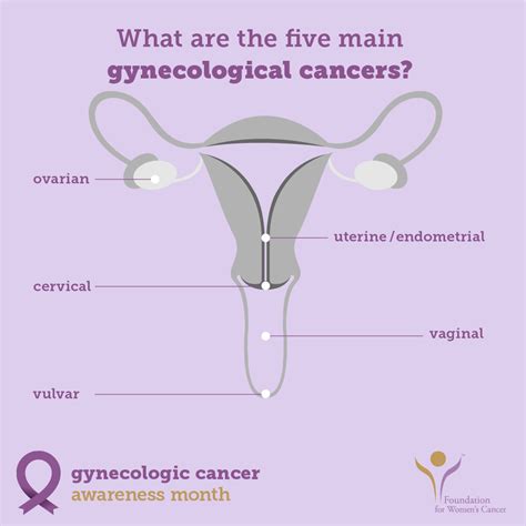 The massachusetts ovarian cancer awareness coalition is working to increase awareness of this disease. Gynecologic Cancer Awareness Month 2020 ⋆ Meno Martha
