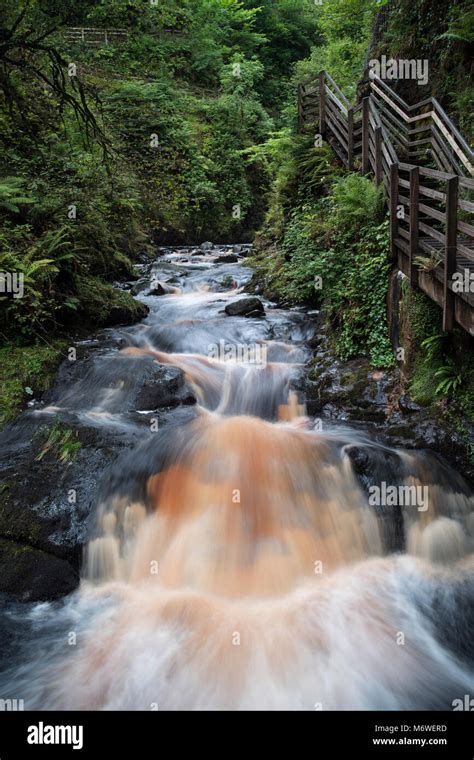 Waterfall In Glenariff Forest Park County Antrim Northern Ireland