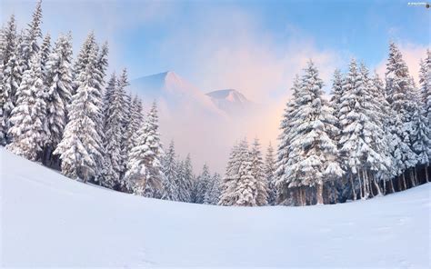 Winter Mountains Forest For Desktop Wallpapers 2880x1800