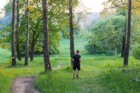 Free Images Tree Nature Forest Wilderness Walking Sunrise