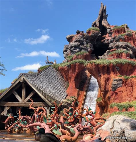 Breaking News So Wanna Know Why Splash Mountain Was Closed Today