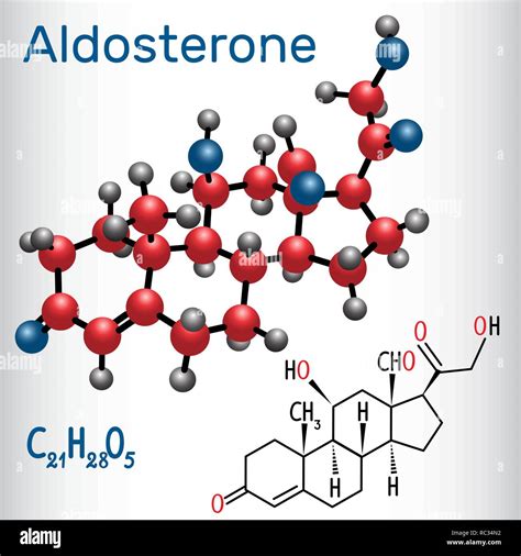 Aldosterone Steroid Hormone Structural Chemical Formula And Molecule Model Vector