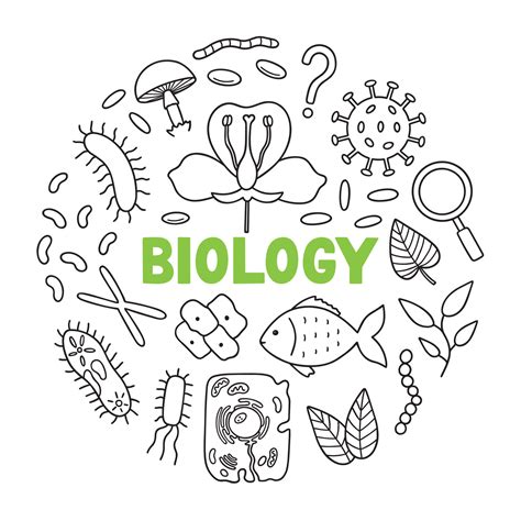 Biology Doodle Set Education And Study Concept School Equipment