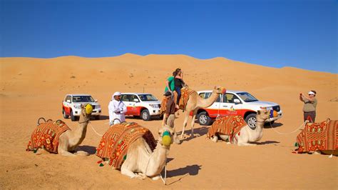 Start Your Day With A Packed Morningdesertsafari In Dubai From
