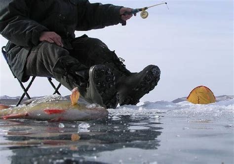 Зимняя рыбалка в Приморском крае видео - Охота и рыбалка, животные, туризм