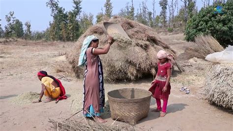 Village Life In India Daily Routine Work 2021 Typical Rural Indian Village Life Rural Life