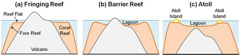 2 Different Types Of Coral Reefs A Fringing B Barrier And C