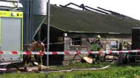 Thousands Of Chickens Die In Shed Fire On Norfolk Farm Bbc News