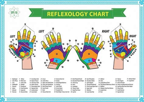 Free Reflexology Charts Points For Specific Ailments In 2020