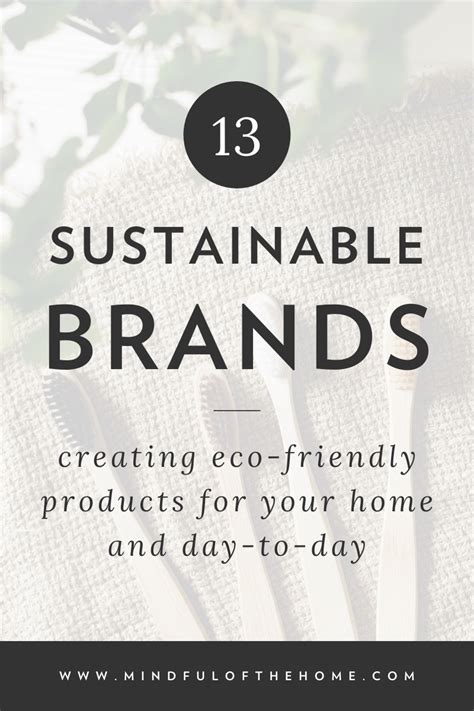 13 Eco Friendly Brands That Are Saving The Planet In 2020 Eco