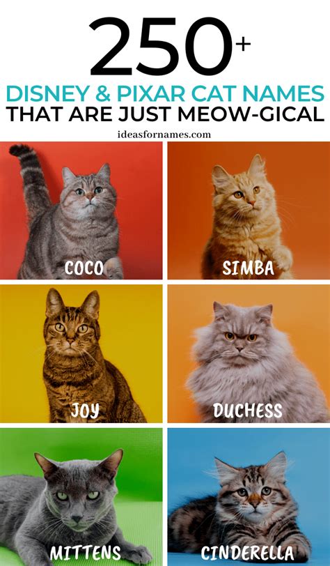 Cat Names Puns Funny Cat Pun Names In 2020 Cat Puns Cat