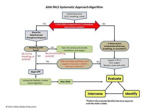 Pals Systematic Approach Algorithm Pals Systematic