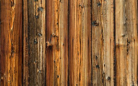 Wood Timber Closeup Wooden Surface Texture