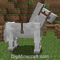 Watch this video to learn how to dye armor in minecraft bedrock edition (pe, windows 10, xbox one, ps4, nintendo switch). How to Summon a Tame Horse with Saddle in Minecraft