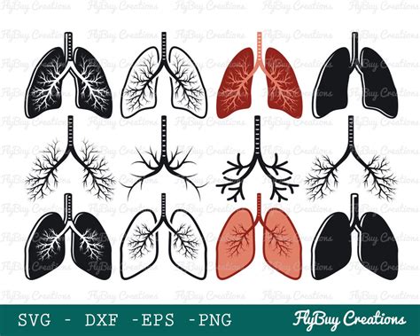 Human Lung Svg Lungs Svg Respiratory System Svg Pulmonology Svg